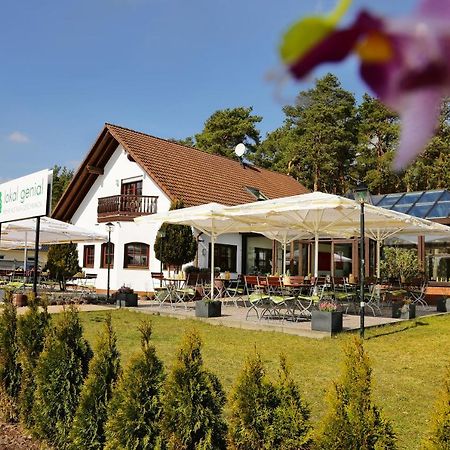 Lokal Genial Pension & Restaurant بيليتس المظهر الخارجي الصورة